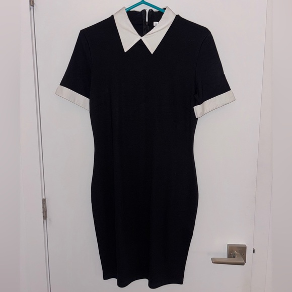 Revamped Dresses & Skirts - Black and White collar dress